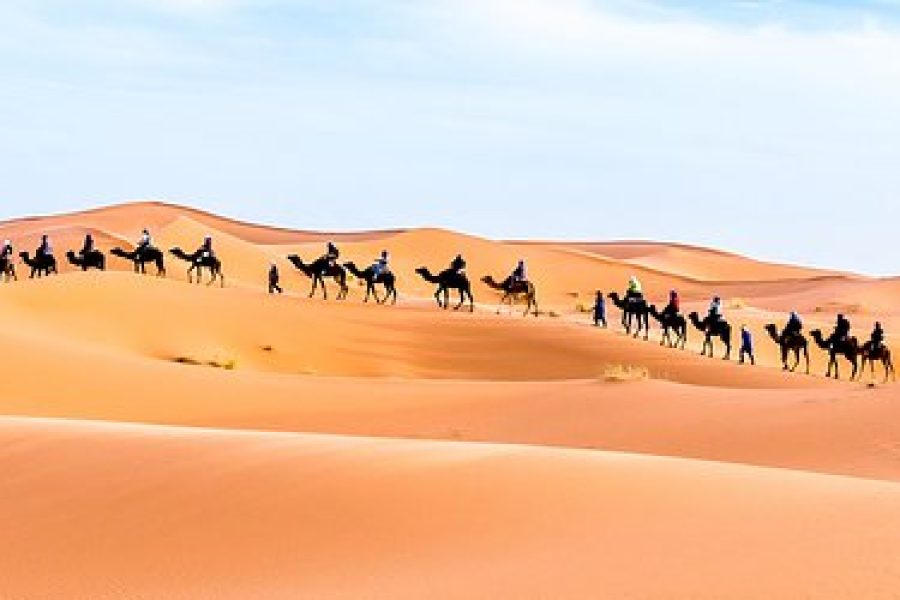 Excursion de 8 jours dans le Sahara marocain, Casablanca à Tanger (ou Tanger à Casablanca)